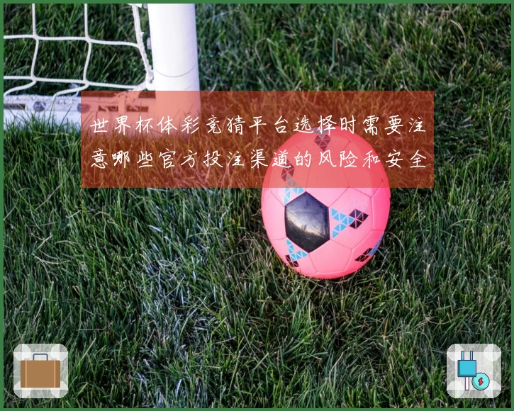 世界杯体彩竞猜平台选择时需要注意哪些官方投注渠道的风险和安全性问题