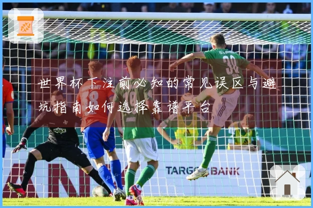 世界杯下注前必知的常见误区与避坑指南如何选择靠谱平台