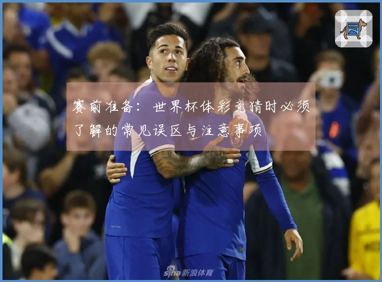 赛前准备：世界杯体彩竞猜时必须了解的常见误区与注意事项