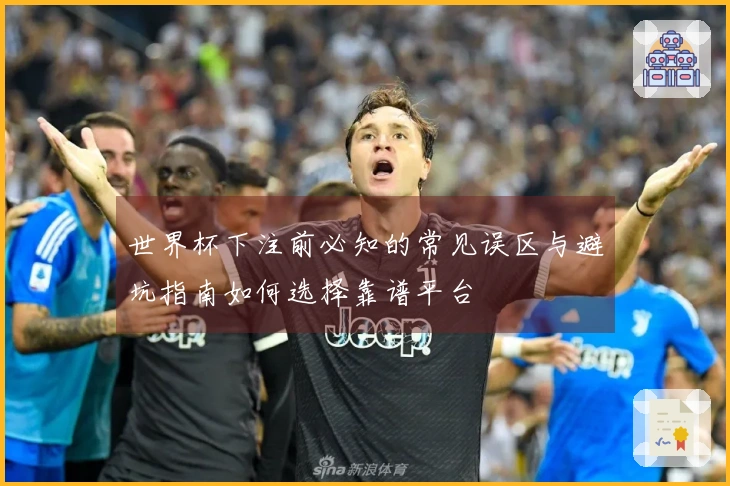 世界杯下注前必知的常见误区与避坑指南如何选择靠谱平台